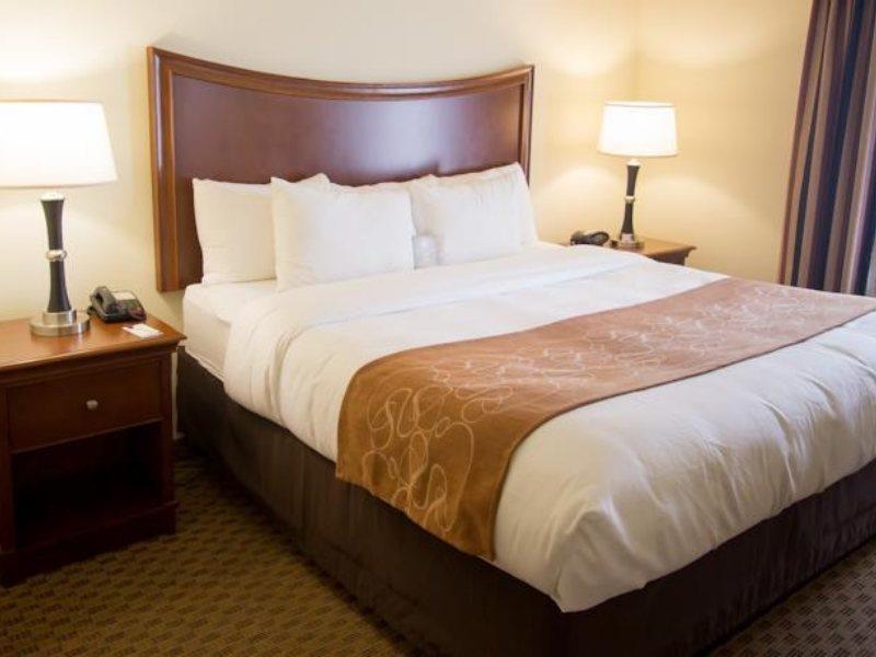 Comfort Suites San Antonio North - Stone Oak Екстер'єр фото
